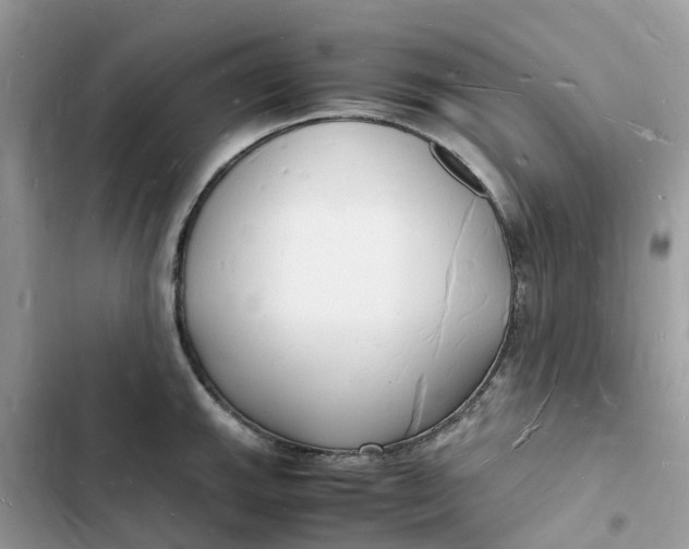 X0000103291143200809191823