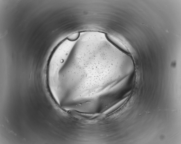 X0000103291144200809191823