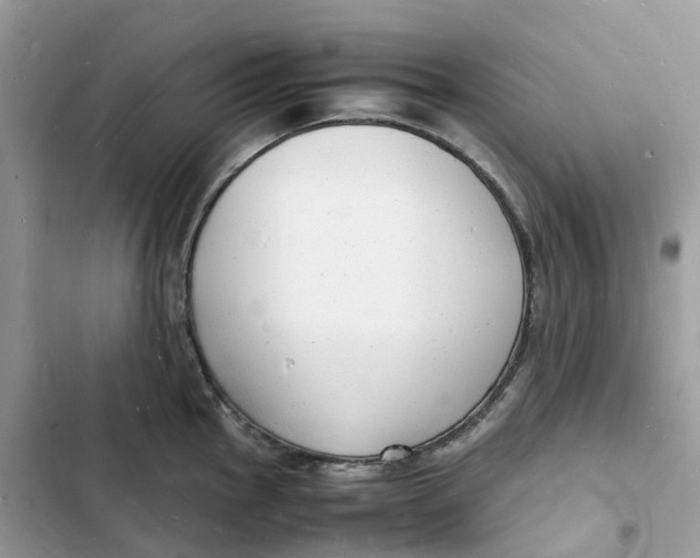 X0000103291145200809191823