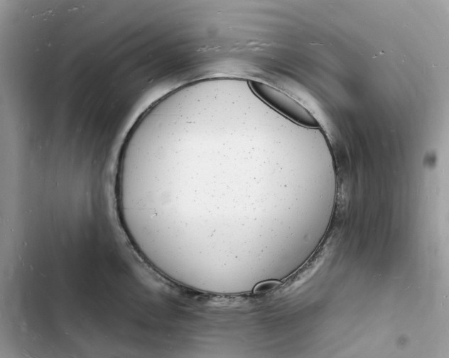 X0000103291146200809191823