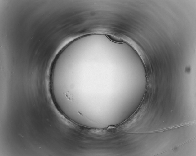 X0000103291147200809191823