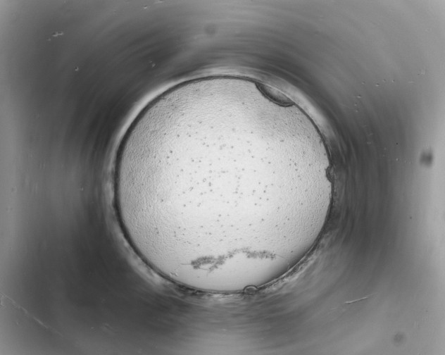 X0000103291148200809191823