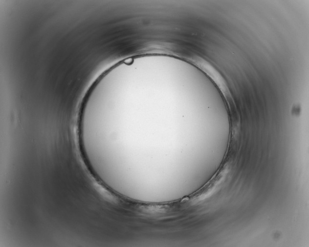 X0000103291149200809191823