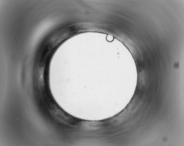 X0000103291150200809191823