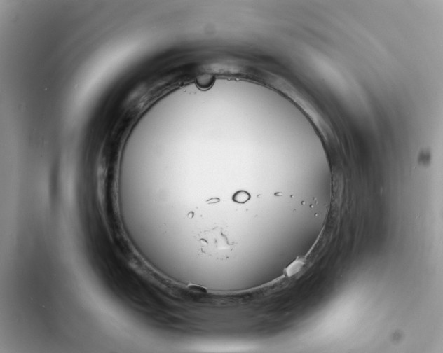 X0000103291151200809191823