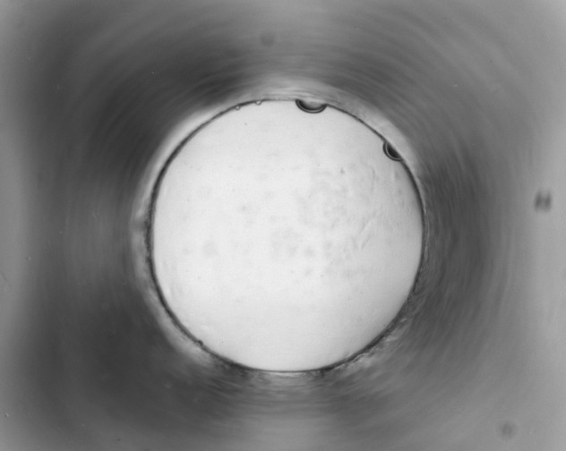 X0000103291152200809191823