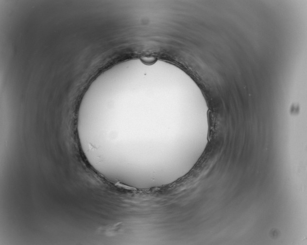 X0000103291153200809191823