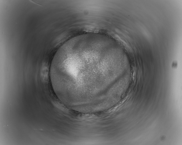 X0000103291154200809191823