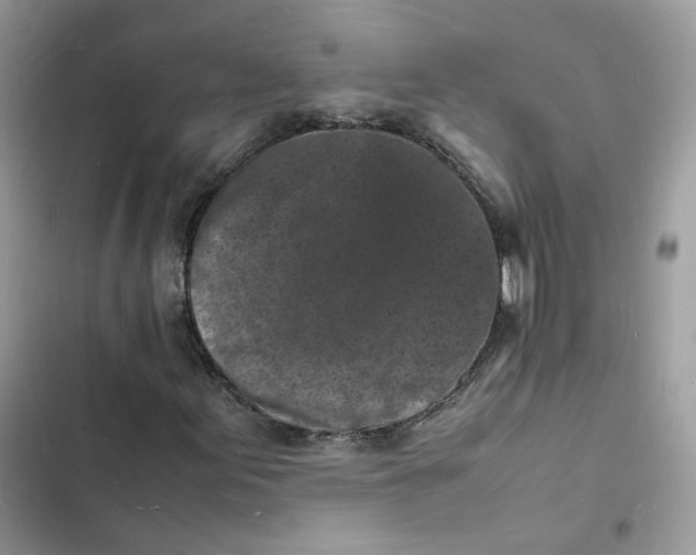 X0000103291155200809191822