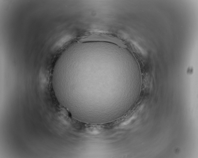 X0000103291157200809191822