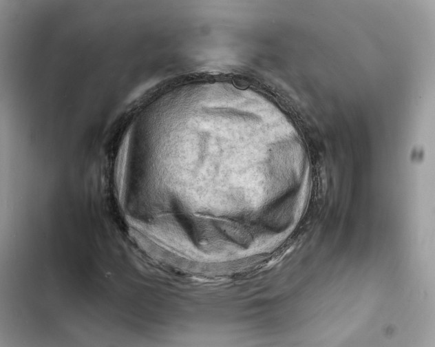 X0000103291158200809191822