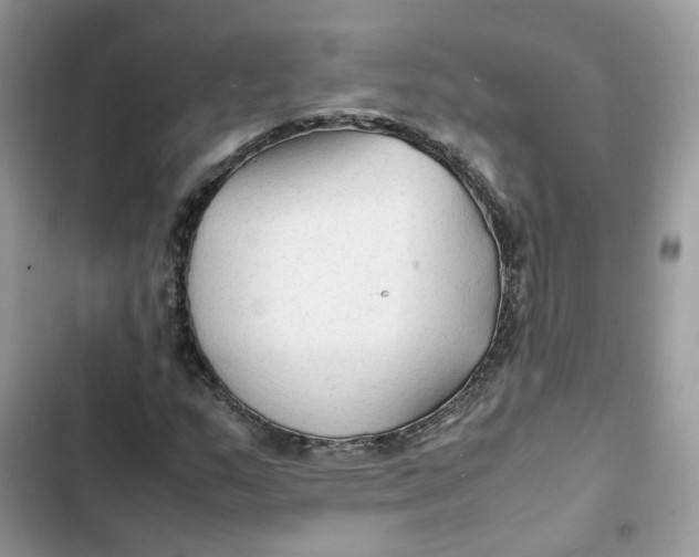 X0000103291159200809191822