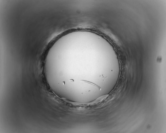 X0000103291160200809191822