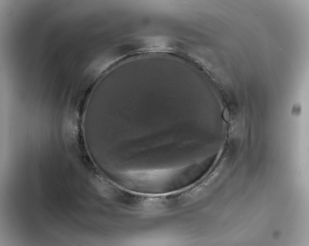 X0000103291161200809191822