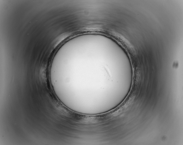 X0000103291162200809191822