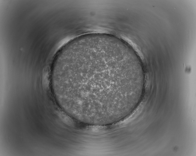 X0000103291163200809191822