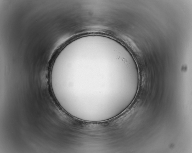 X0000103291164200809191822