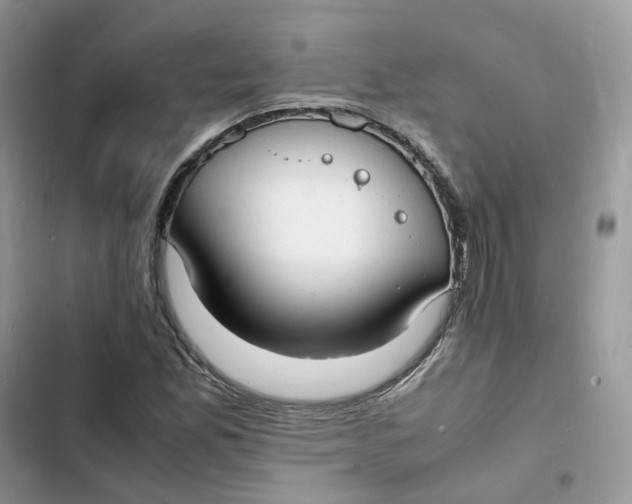 X0000103291165200809191822