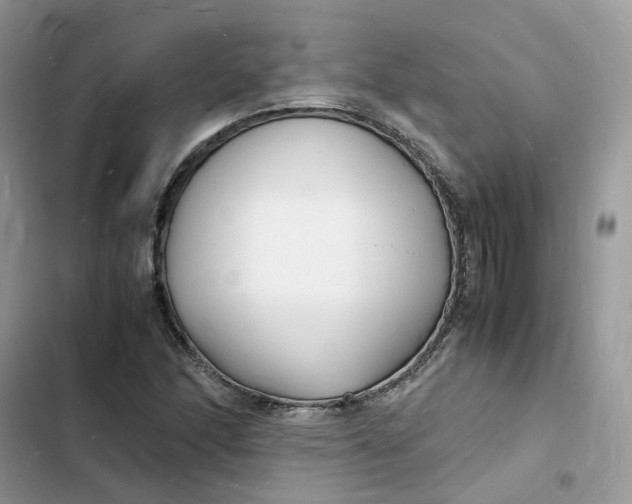 X0000103291166200809191822