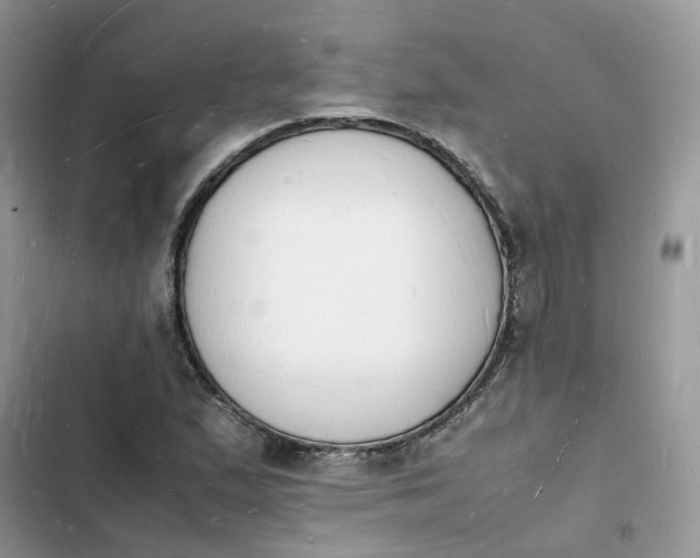 X0000103291167200809191822