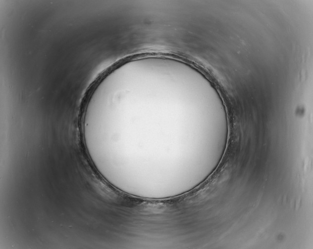 X0000103291168200809191822