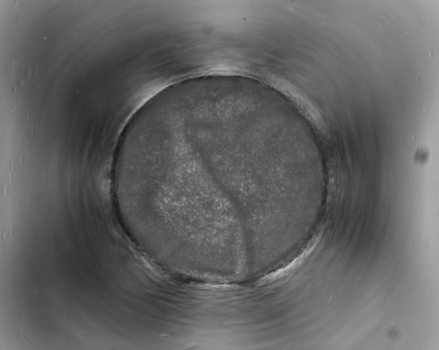 X0000103291170200809191822