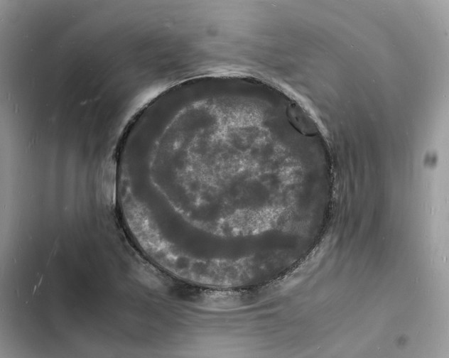 X0000103291171200809191822