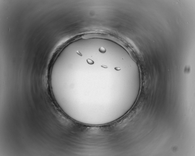 X0000103291172200809191822