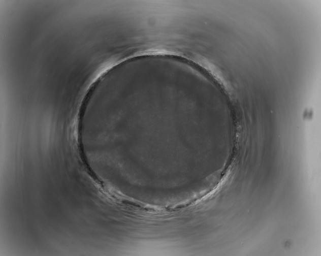 X0000103291173200809191822