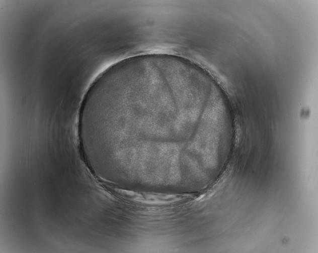 X0000103291174200809191822