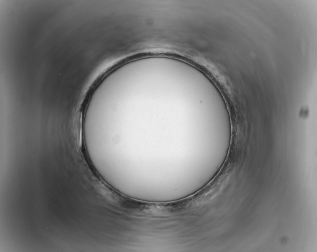 X0000103291175200809191822