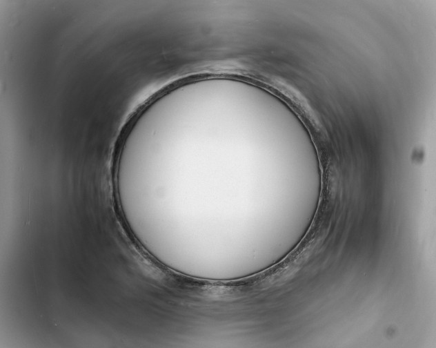 X0000103291176200809191822