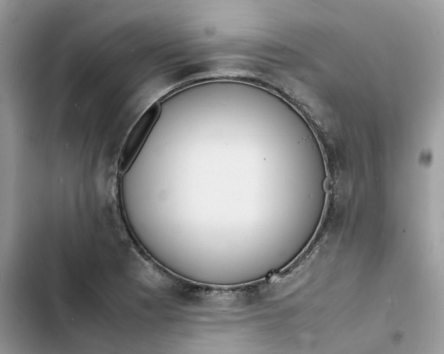 X0000103291177200809191822