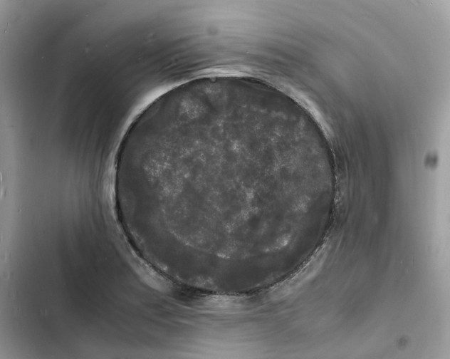 X0000103291179200809191822