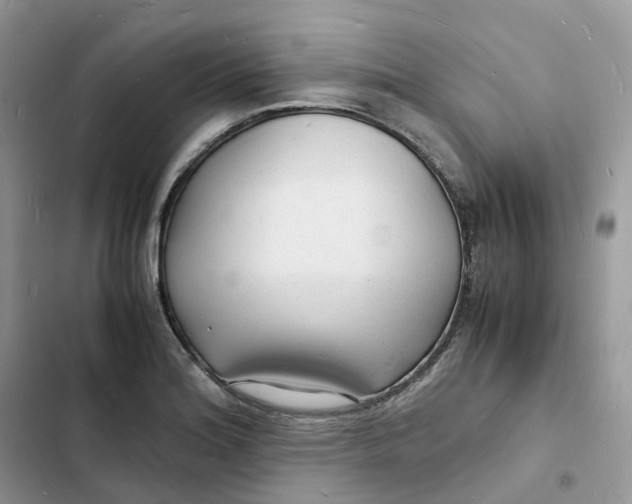 X0000103291180200809191822