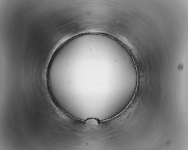 X0000103291181200809191822