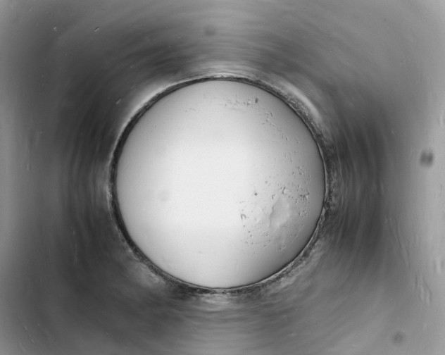 X0000103291182200809191822