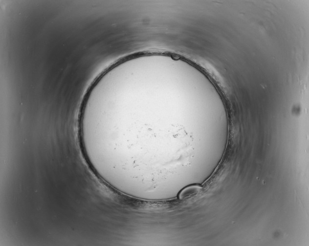 X0000103291183200809191822