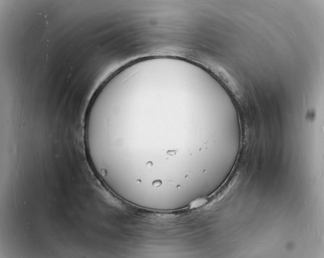 X0000103291184200809191822