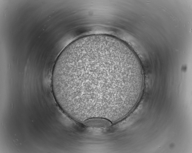 X0000103291185200809191822