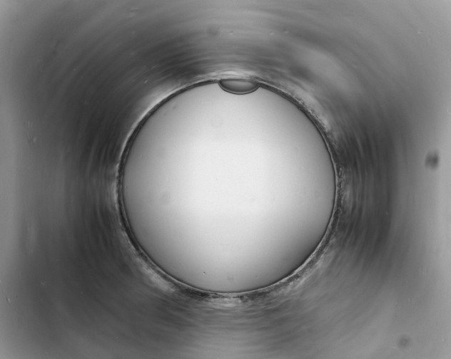 X0000103291186200809191822