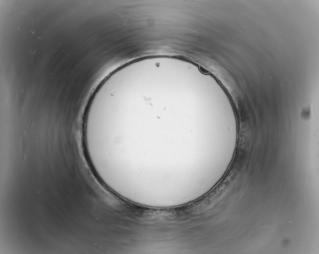 X0000103291187200809191822