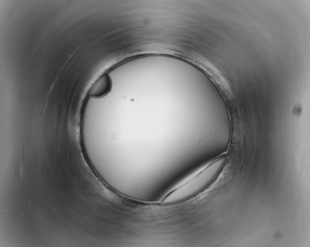 X0000103291188200809191822