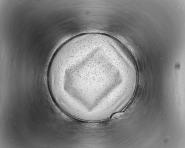 X0000103291189200809191822