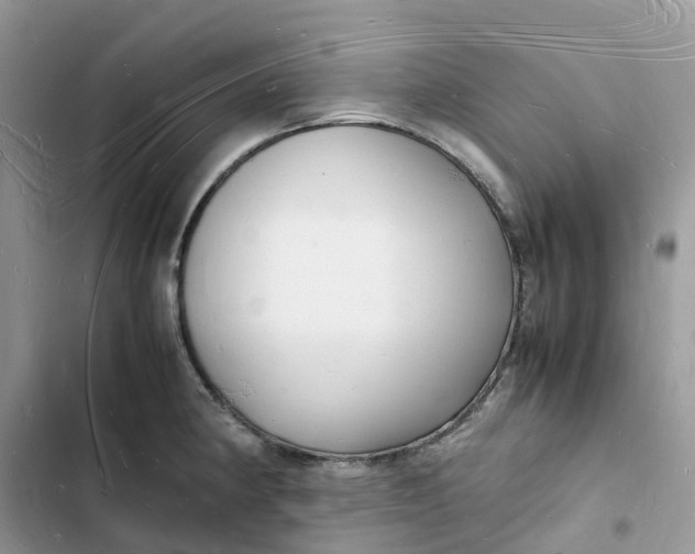 X0000103291190200809191822