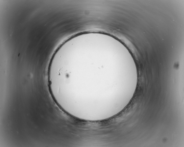 X0000103291191200809191822