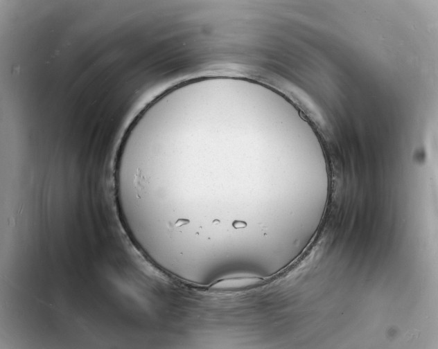 X0000103291192200809191822