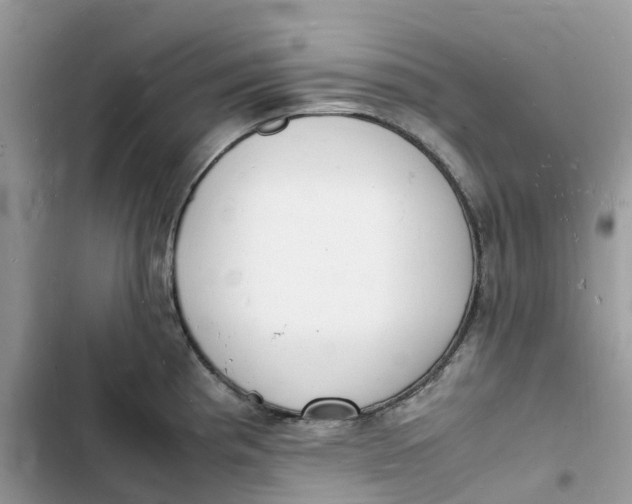 X0000103291193200809191822