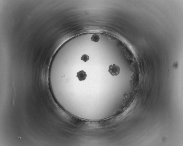 X0000103291194200809191822