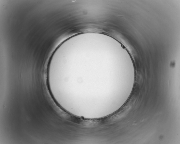 X0000103291195200809191822